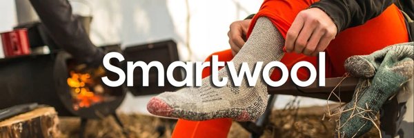 Smartwool W'S Run Targeted Cushion Ankle Socks, 039 | light gray, L