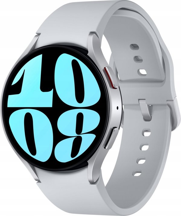 Smartwatch Samsung Galaxy Watch 6 Stainless Steel 44mm Szary  (SM-R940NZSAEUE)