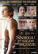 Η Χιονόπτωση Δεν Θα Είναι Ποτέ Ξανά DVD