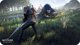 SONY PS4 ΠΑΙΧΝΙΔΙ THE WITCHER 3: WILD HUNT GOTY