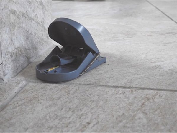 Sourcing Swissinno mouse trap SuperCat Pro 2 pcs