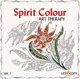 Spirit Colour - Art Therapy Vol.1