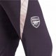 Παντελόνι προπόνησης Arsenal Λονδίνου Adidas JF2916