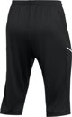 Nike Παντελόνι 3/4 Dri Fit Academy 25 μαύρο FZ9787 010 L