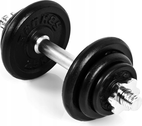 Spokey Egir Σετ Αλτήρες Kettlebell 2 x 10 kg από Χυτοσίδηρο
