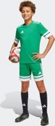 Adidas Παιδικό Σορτς Squadra 25 Πράσινο JN7484, Μέγεθος 128cm