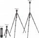 K&F Concept K254C2+BH-36L Τρίποδο Φωτογραφίας Carbon Επαγγελματικό με Κεφαλή Μπίλιας