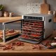 Steba ED 80 Steel Deluxe Dehydrator