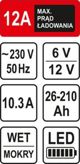Sthor STHOR PROSTOWNIK 6/12V 12A 210Ah LED T82544
