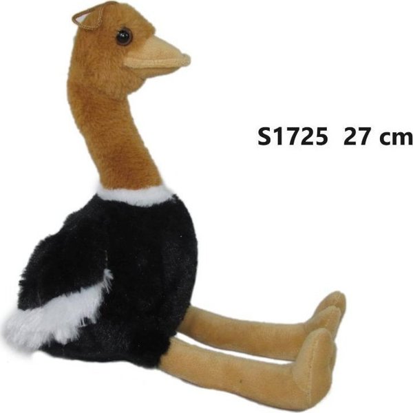 Στρουθοκάμηλος 27cm