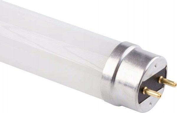 Swietlowka Ecolight swietlowka LED 9W 60cm T8 G13 900lm 4000K neutralna Glass Eco EC79535 Eco Light