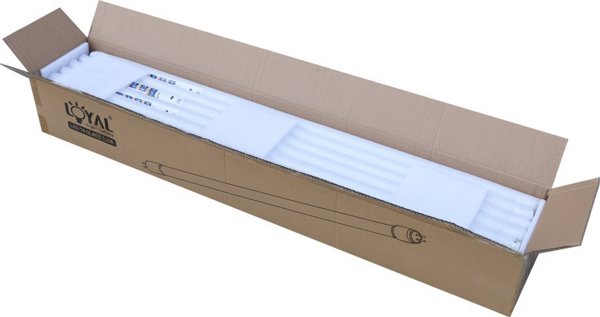 Swietlowka Loyal Lighting Tuba LED Loyal Lighting 60cm 6.5K 1000lm 9W