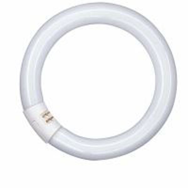 Λαμπτήρας φθορισμού Osram Lumilux γραμμικός T9 G10q 32W 2250lm 4000K