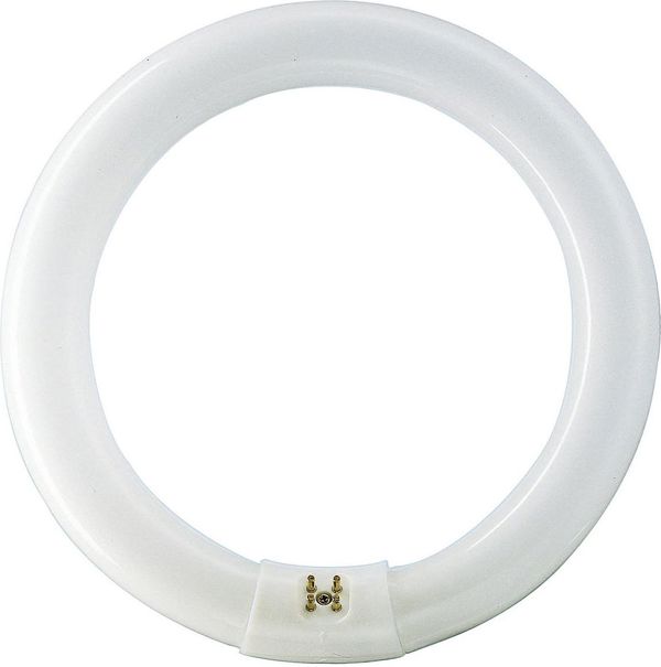 Φωτιστικό φθορισμού Philips Master TL-E Circular Super 80 κυκλικό G10q 40W 3200lm 4000K