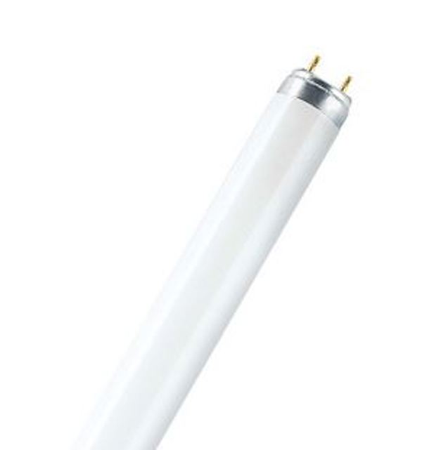 Λαμπτήρας φθορισμού Osram Limulux T8 L G13 36 W 3350 lm 4000 K