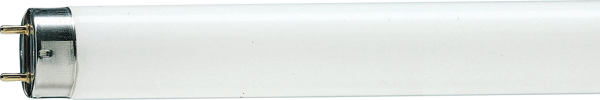 Swietlowka Philips Master TL-D Food liniowa T8 G13 58W 2800lm 3800K (871150070623240)