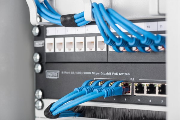 Digitus Gigabit Ethernet Switch 8 Θυρών, PoE+, 10", 80W, DN-95343