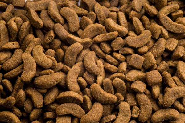 Synteza CLUB4L Ξηρά Τροφή Σκύλου για Μεσαίες Φυλές, 2kg