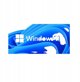 Λειτουργικό σύστημα Microsoft Windows 11 Home 64Bit SK OEM