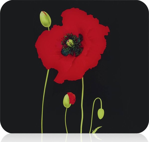 Γυάλινη πλάκα κουζίνας, 56 x 50 cm, POPPY, Maximex