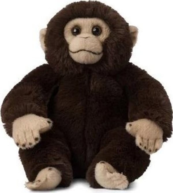 Συμπάνς 23cm WWF