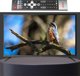 Telewizor Aiwa TELEWIZOR 32GO40804HD Smart TV