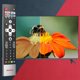 Telewizor Aiwa TELEWIZOR 32GO40804HD Smart TV