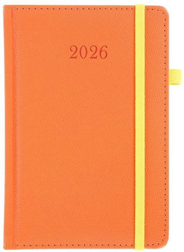 Terminarz 2026 Dzienny B6 Waran MIX