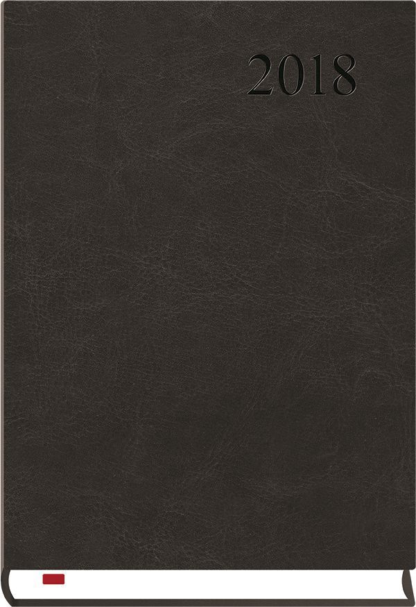 Terminarz Asystent A5, Czarny (T-237A-V)