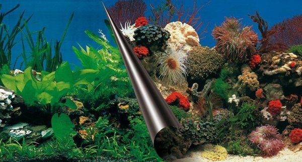 Tlo Do Akwarium Skaly Rafa Koralowa 120x50 cm