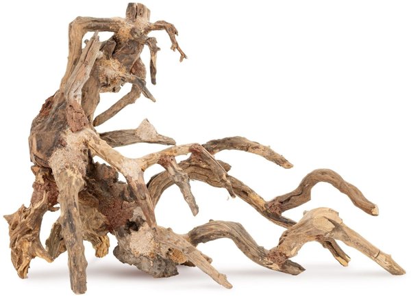 Βυθιζόμενο δέντρο Bonsai αριθμός 64 60x40