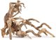Βυθιζόμενο δέντρο Bonsai αριθμός 64 60x40