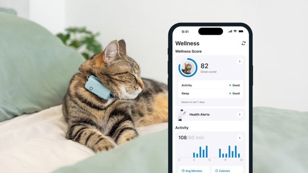 Tractive Tractive GPS CAT Mini - Mint