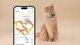 Tractive Tractive GPS CAT Mini - Mint