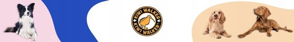 Triton Kiwi Walker Let's Play Ball Mini μπλε μπάλα