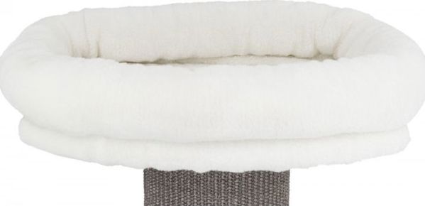 Trixie Ονυχοδρόμιο Τοίχου Acadia, 160 cm, Γκρι, με Πλατφόρμα και Αποσπώμενο Κρεβάτι