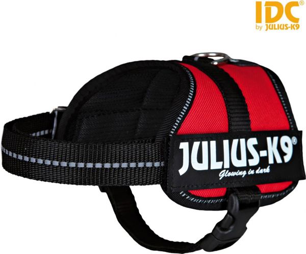 Trixie Szelki Julius-K9®, Baby 2/XS–S: 33–45 cm/18 mm, czerwone