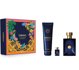 Versace Dylan Blue Eau de Toilette 100ml + Eau de Toilette 5ml + Shower Gel 150ml