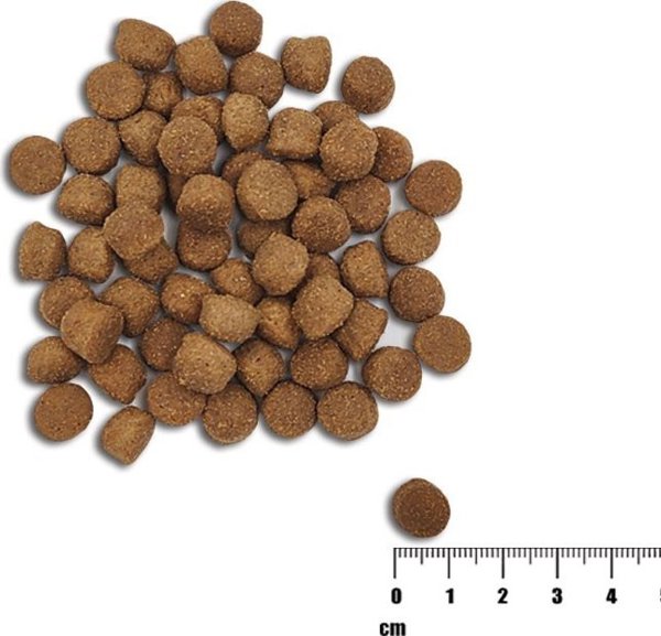 VetExpert VetExpert Raw Paleo Healthy Grain Salmon&Barley Puppy - Ξηρά τροφή για σκύλους - 10kg