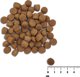 VetExpert VetExpert Raw Paleo Healthy Grain Salmon&Barley Puppy - Ξηρά τροφή για σκύλους - 10kg