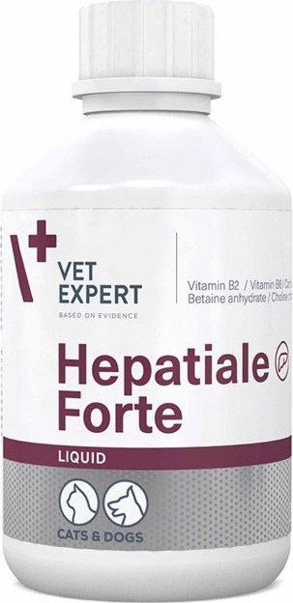 VetExpert Hepatiale Forte Liquid Συμπλήρωμα Διατροφής για Σκύλους και Γάτες 250ml