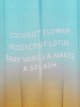 Victoria's Secret Bare Vanilla Splash BOR W 250 ml
