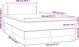 vidaXL Λουτζκό κοντινεντάλ με στρώμα και LED, γκρι, βελούδο, 120x200 cm