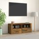 vidaXL Szafka pod telewizor, przydymiony dab, 100x35x40 cm