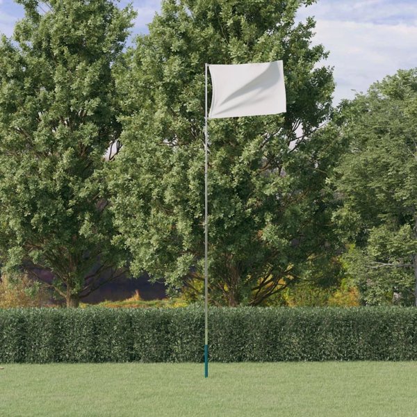 vidaXL vidaXL Teleskopowy maszt flagowy, srebrny, 5,55 m, aluminium