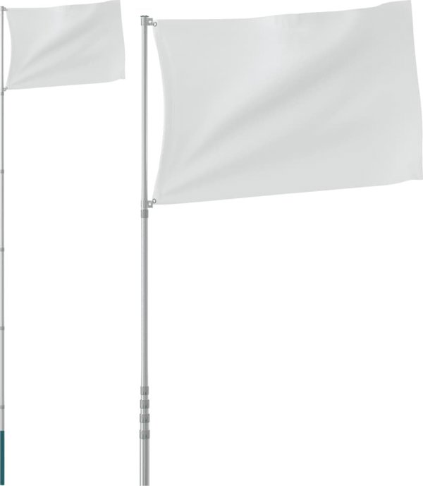 vidaXL vidaXL Teleskopowy maszt flagowy, srebrny, 5,55 m, aluminium