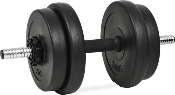 vidaXL Hantle z obciaznikami, 40 kg