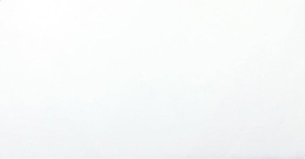 vidaXL Σετ 2 σεντονιών, λευκά, 180x200 cm, βαμβακερό jersey