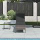 vidaXL Ξαπλώστρα με Μαξιλάρι Γκρι 55x200x44cm από Πολυρατάν
