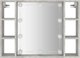 vidaXL Szafka z lustrem i lampkami LED, szarosc betonu, 76x15x55 cm